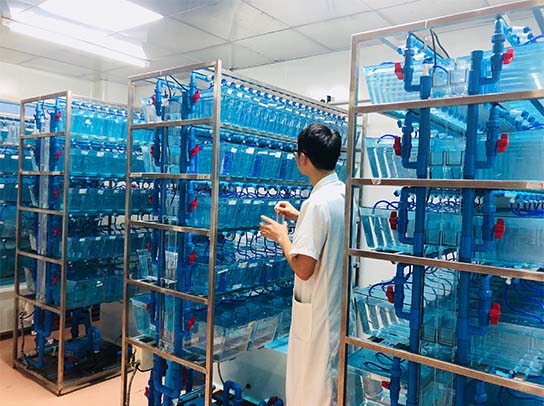 意昂娱乐(中国)体育有限公司官网